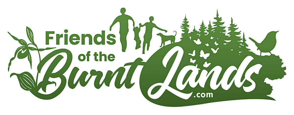 Friends of the Burnt Lands